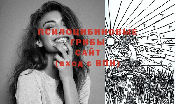 MDMA Premium VHQ Богородск