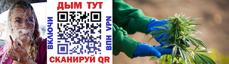 Шишки марихуана гибрид Черепаново